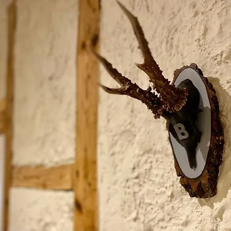 Wohlbfinden Appartementhaus Daire