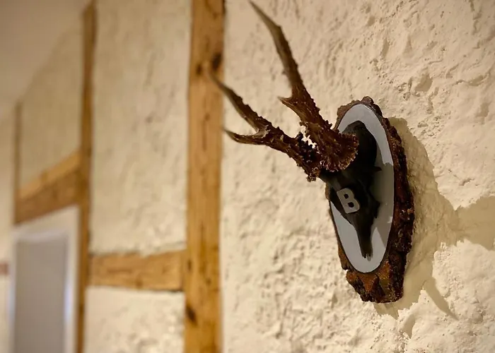 Wohlbfinden Appartementhaus Апартаменты